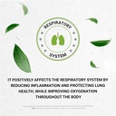 secrets-of-the-tribe-osha-alcohol-free-l-5.jpg