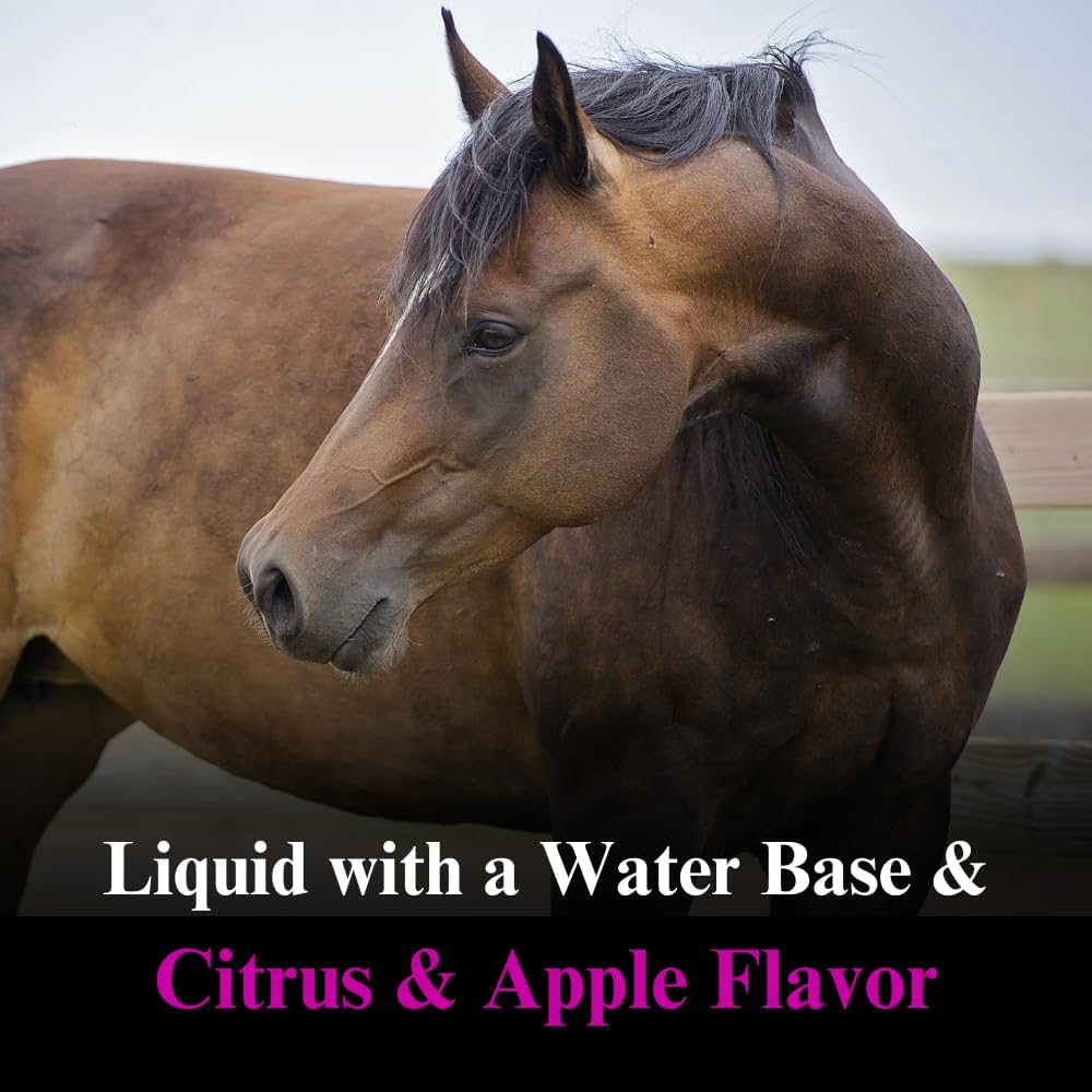 su-per-muscle-builder-horse-supplement---3.jpg
