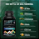60-seaweed-capsules-supplement-organic-s-2.jpg