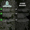 holistic-bin-dong-quai-root-powder-extra-2.jpg