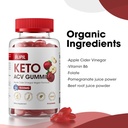 keto-acv-gummies---sugar-free-weight-los-3.jpg