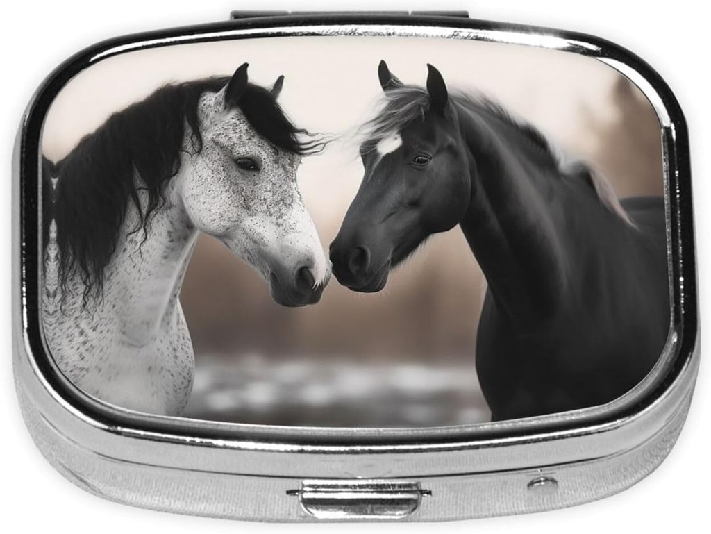 pill-case-with-mirror-retro-2-compartmen-6.jpg