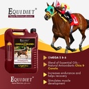 omega-blend-supplement---horse-weight-ga-4.jpg