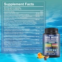 sea-moss-and-shilajit-sea-moss-black-see-6.jpg