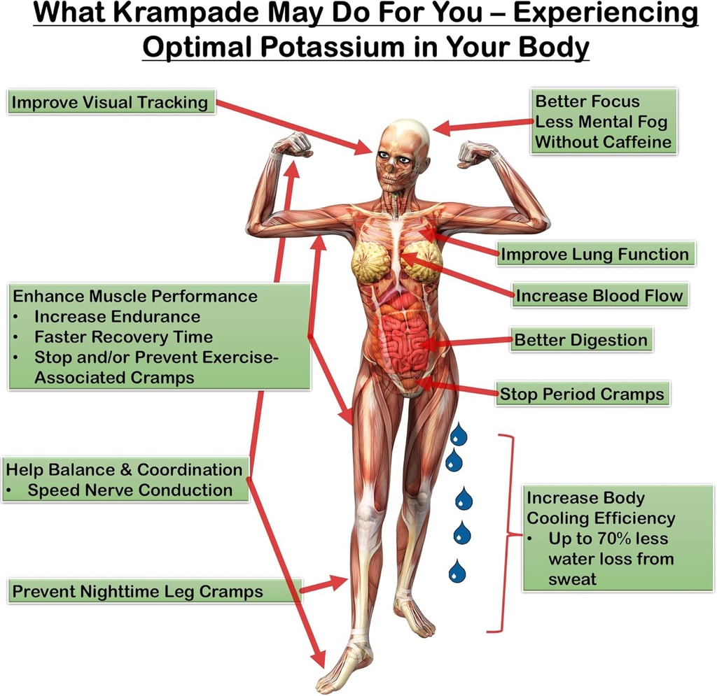 krampade-original-2k---2000-mg-potassium-3.jpg
