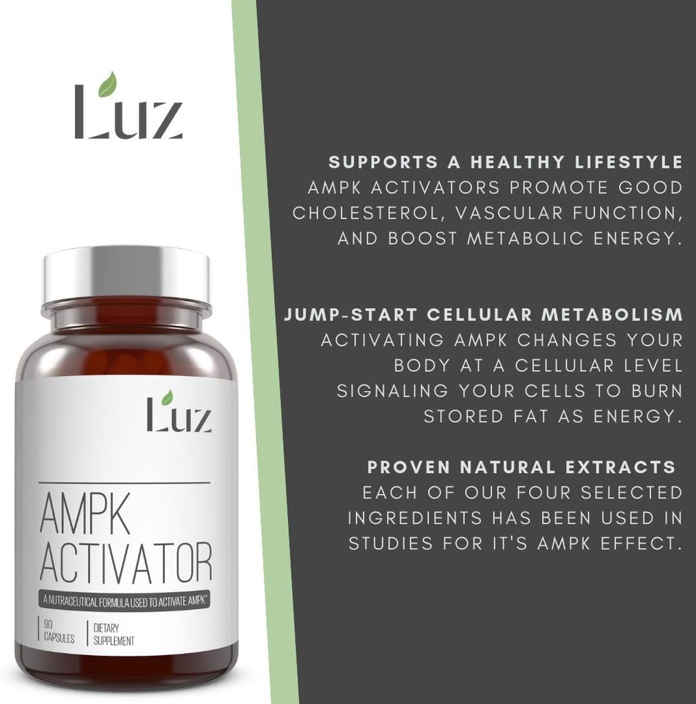 luz-ampk-activator---research-based---90-5.jpg