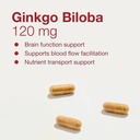 protocol-for-life-balance-ginkgo-biloba--4.jpg