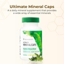 youngevity-ultimate-mineral-capsTM---70--2.jpg