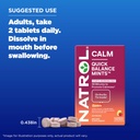 natrol-quick-balance-calm-mints-dietary--5.jpg
