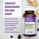 new-chapter-perfect-prenatal-vitamins----5.jpg