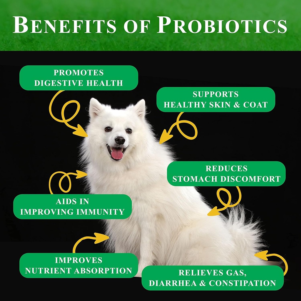 probiotics-for-dogs-all-natural-dog-prob-2.jpg