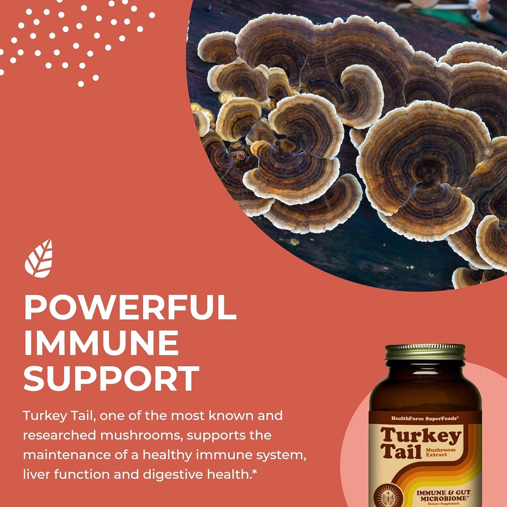 healthforce-superfoods-turkey-tail---pow-4.jpg