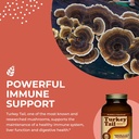 healthforce-superfoods-turkey-tail---pow-4.jpg