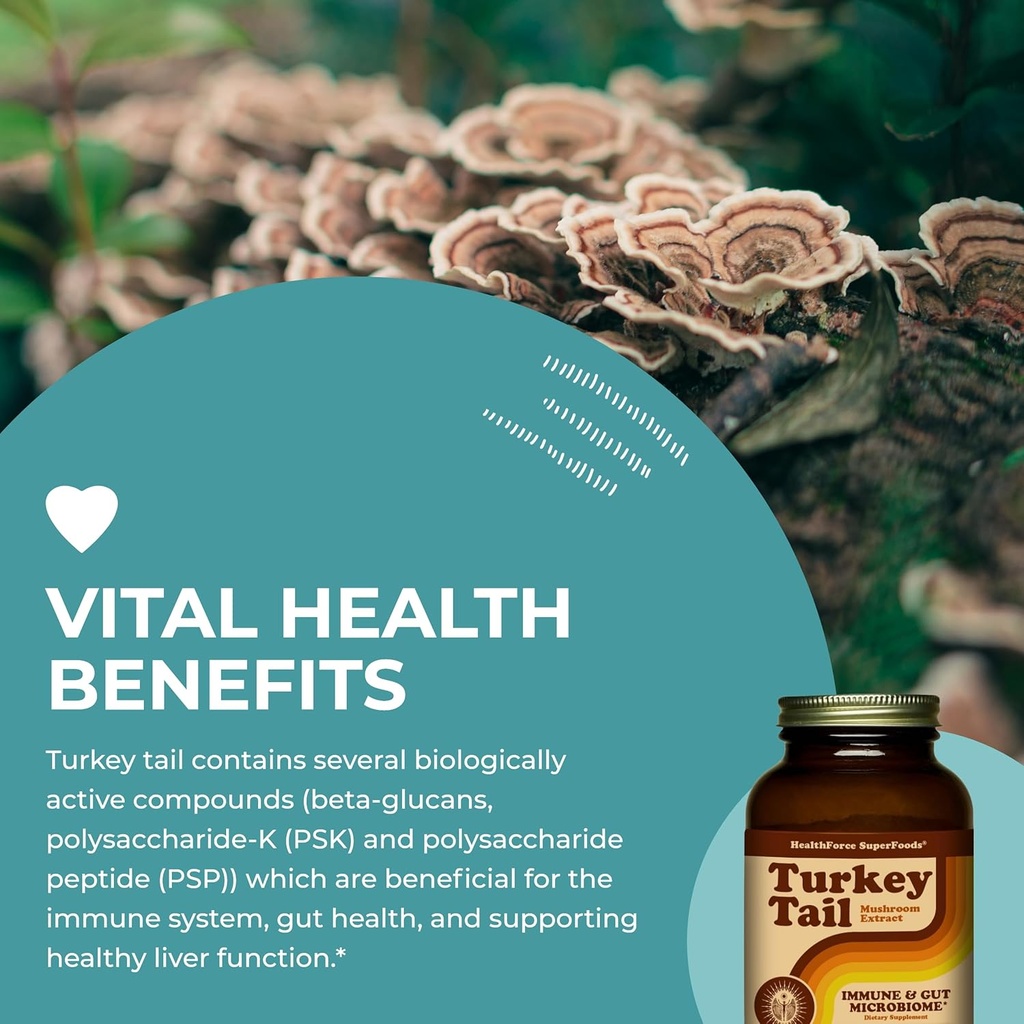 healthforce-superfoods-turkey-tail---pow-5.jpg