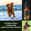 busters-hip-and-joint-hemp-oil-formula-e-3.jpg