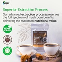 sayan-chaga-mushroom-extract-powder-22-l-6.jpg