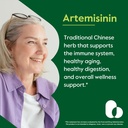 bestvite-artemisinin-200mg-per-capsule-6-2.jpg