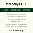 plant-therapy-ginkgo-biloba-capsules-man-5.jpg