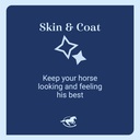 smartequine-cocoomega-granular-horse-sup-4.jpg