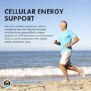 source-naturals-life-force-multiple-dail-5.jpg