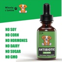 natural-dog-antibiotics---antibiotics-fo-6.jpg