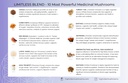 highvibe-mushrooms-limitless-mushroom-po-3.jpg