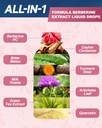 berberine-liquid-drops-berberine-hcl-dro-3.jpg