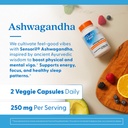 doctors-best-ashwagandha-with-sensoril-a-5.jpg