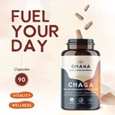 aloha-medicinals-chaga-antioxidant-mushr-3.jpg