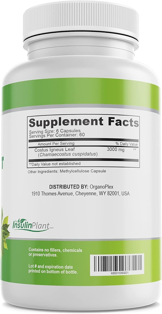insulin-plant-capsules-costus-igneus-100-3.jpg
