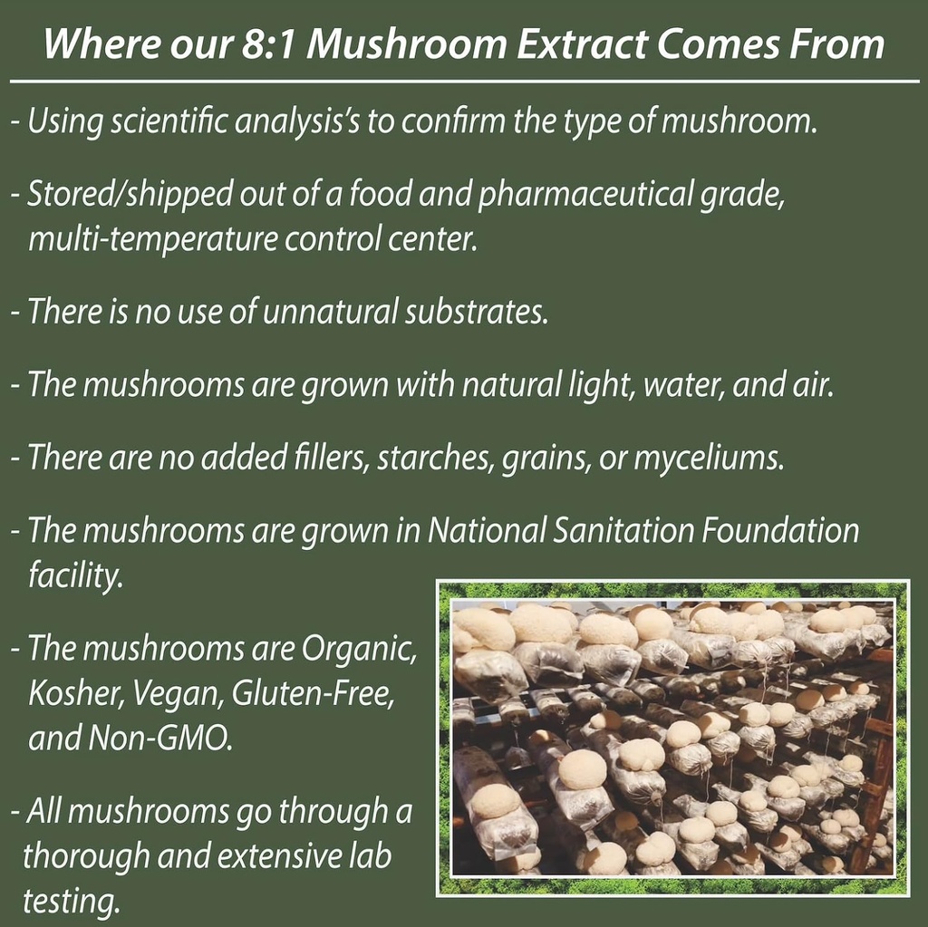 real-lions-mane-mushroom-gummies---heart-6.jpg
