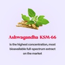 ashwagandha-gummies---stress-relief-gumm-5.jpg