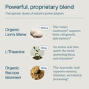 focl-am-pm-nootropic-functional-suppleme-4.jpg