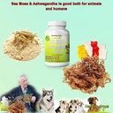 sea-moss-gummies-ashwagandha-with-bladde-5.jpg
