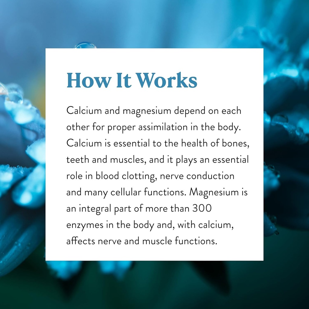 natures-sunshine-calcium-magnesium-syner-6.jpg