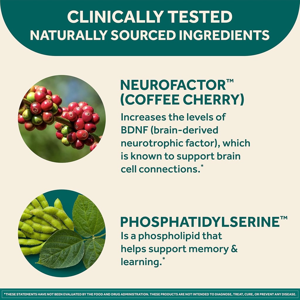 neuriva-original-brain-supplement-for-me-4.jpg