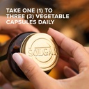 solgar-choline-350-mg---100-vegetable-ca-3.jpg