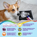 dog-prenatal-vitamins-multivitamin-folic-4.jpg