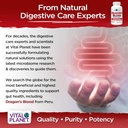 vital-planet---dragons-blood-resin-extra-4.jpg