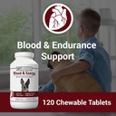 vet-classics-blood-energy-support-for-do-2.jpg