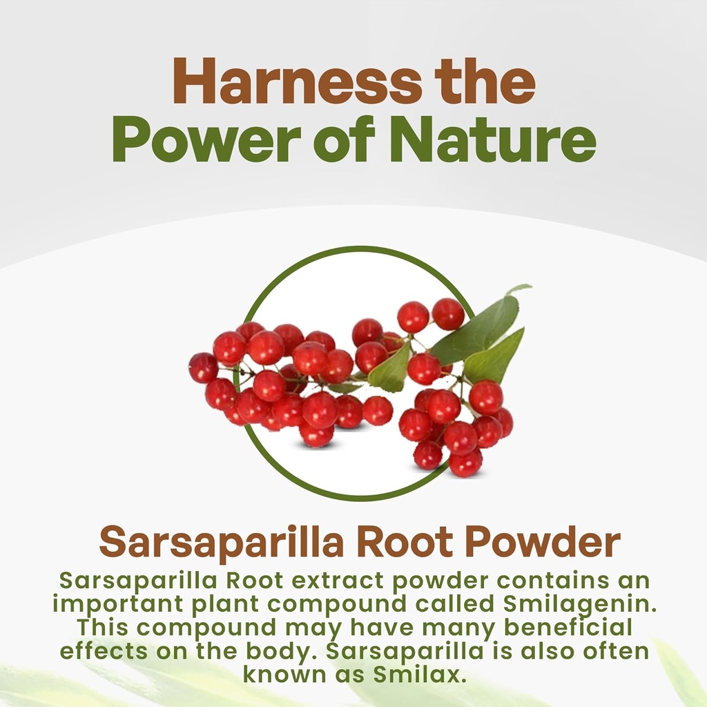 go-nutra-sarsaparilla-root-extract-powde-3.jpg
