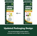 cleavers-lymphatic-drainage-drops-enhanc-6.jpg
