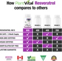 plantvital-resveratrol-600mg---90-vegan--3.jpg