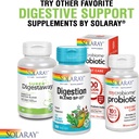 pancreatin-1300-solaray-90-caps-2-pack-5.jpg