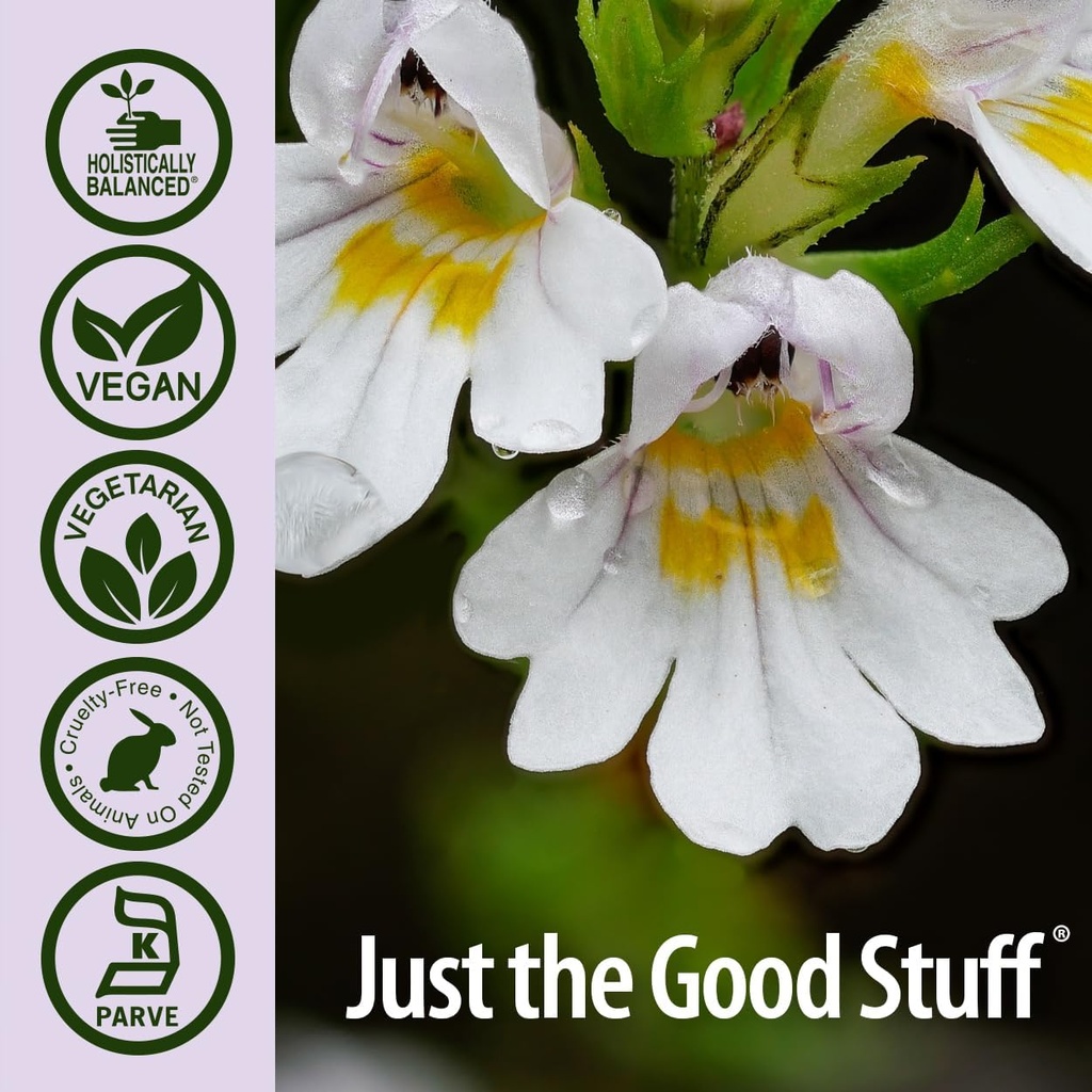 natures-answer-eyebright-herb-supports-h-5.jpg