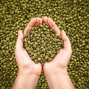 foods-that-reduce-uric-acid---uric-acid--5.jpg
