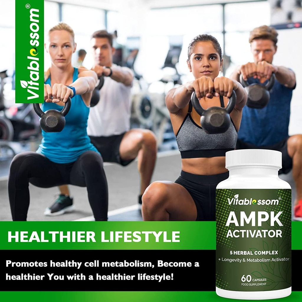 ampk-activator-supplement-5-in-1-jiaogul-4.jpg