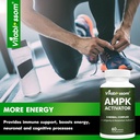 ampk-activator-supplement-5-in-1-jiaogul-5.jpg