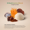 5-mushrooms-power-bland-organic-powder-w-3.jpg