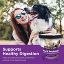 nutri-vet-pre-probiotics-for-dogs-digest-3.jpg